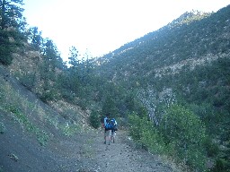 On the Trail in Turkey Creek Canyon Trail going to Upper Dean